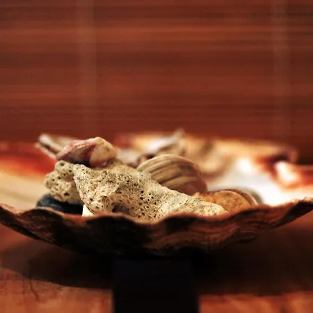 公寓 Cosy In Downtown 布达佩斯